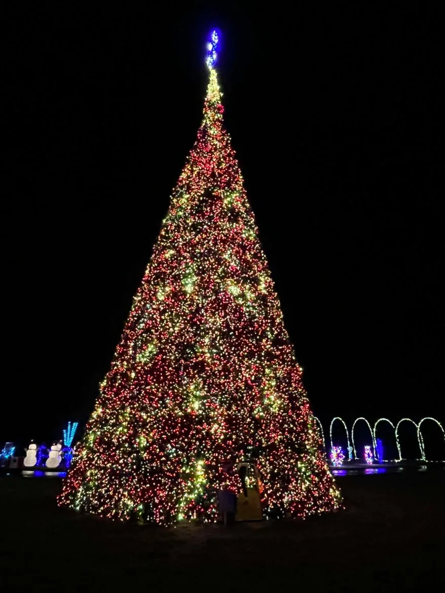 Big Christmas Tree on SR 309 Open Through January 1 - 95.3 WKTN