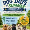 Hardin County Dog Warden Hosting Dog Days of Summer in KHCD