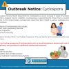 Cyclospora Cases Reported in Auglaize County