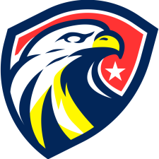 Findlay Force Logo
