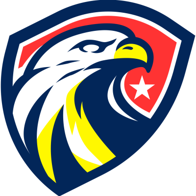 Findlay Force Logo